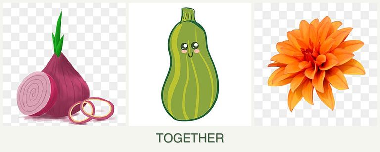 Can you plant onions, zucchini and dahlias together?