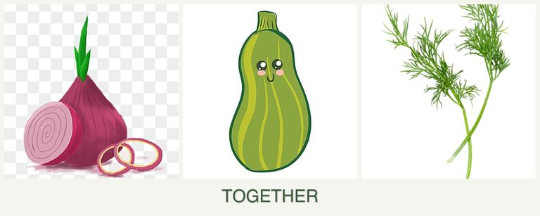 Can you plant onions, zucchini and dill together?