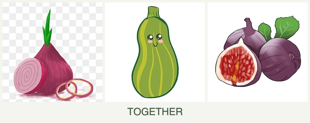 Can you plant onions, zucchini and figs together?