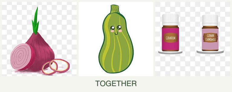 Can you plant onions, zucchini and geraniums together?