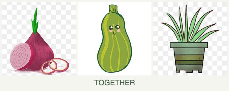 Can you plant onions, zucchini and lemongrass together?