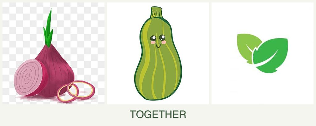 Can you plant onions, zucchini and mint together?