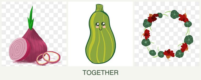 Can you plant onions, zucchini and nasturtiums together?