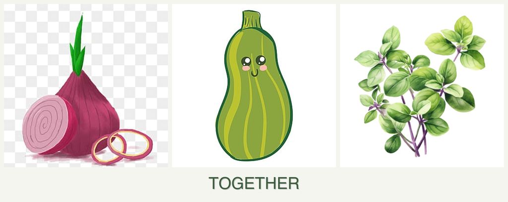 Can you plant onions, zucchini and oregano together?