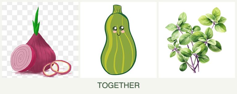 Can you plant onions, zucchini and oregano together?