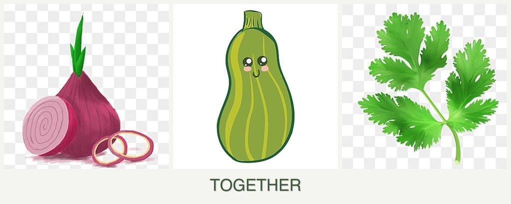 Can you plant onions, zucchini and parsley together?