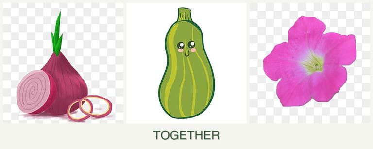 Can you plant onions, zucchini and petunias together?