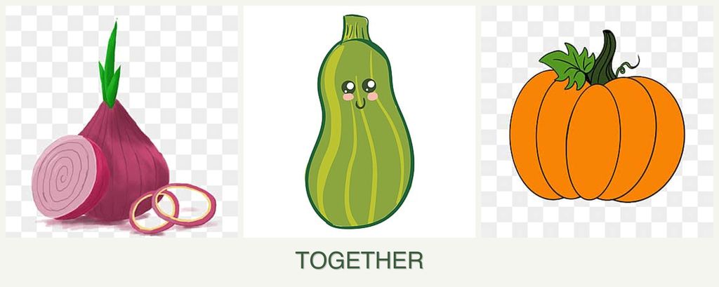 Can you plant onions, zucchini and pumpkin together?