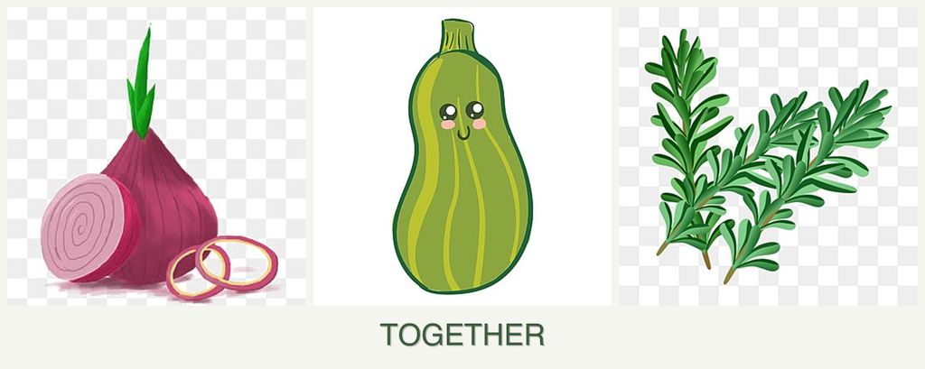 Can you plant onions, zucchini and rosemary together?