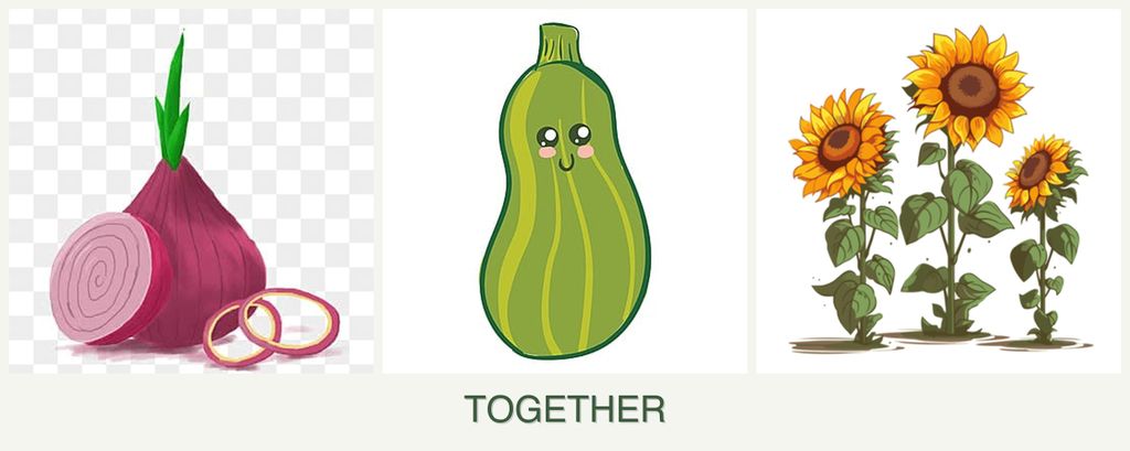 Can you plant onions, zucchini and sunflowers together?