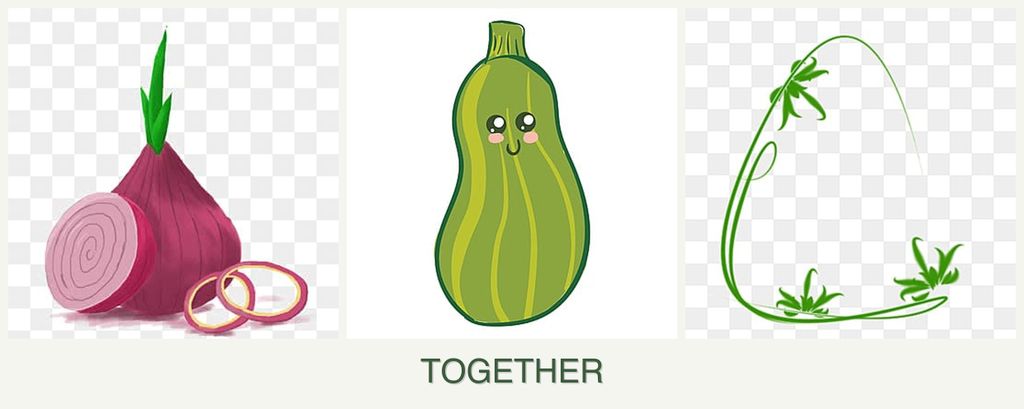 Can you plant onions, zucchini and tarragon together?