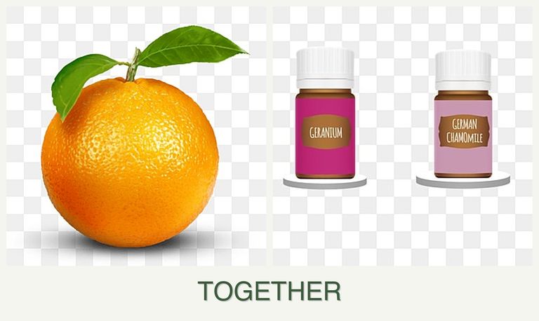 Can you plant oranges and geraniums together?