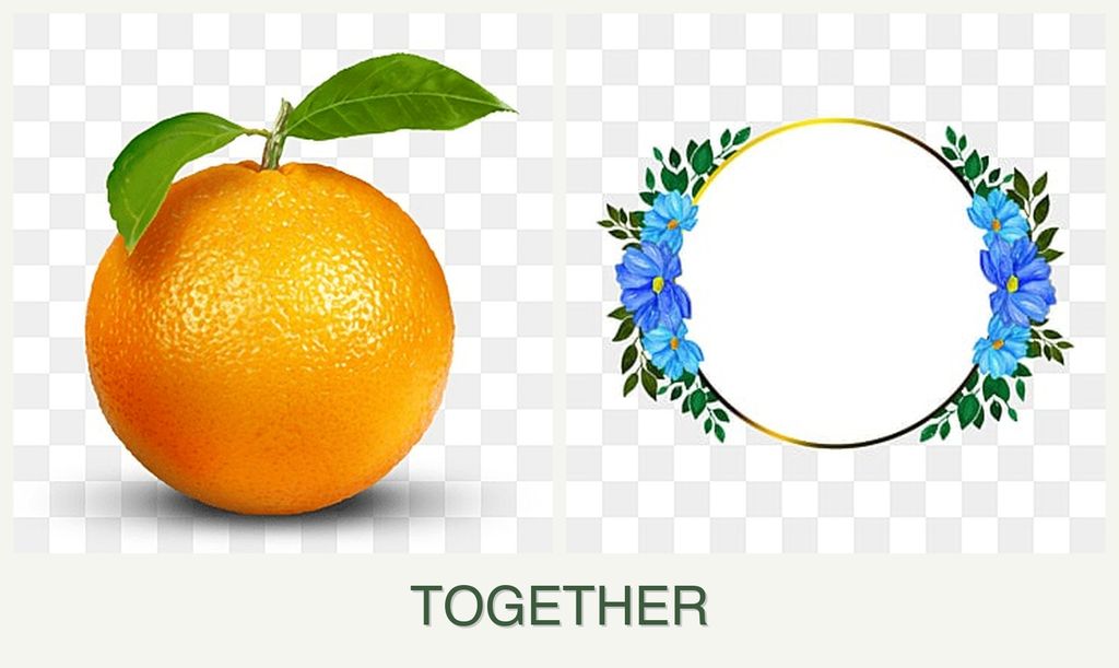 Can you plant oranges and zinnias together?