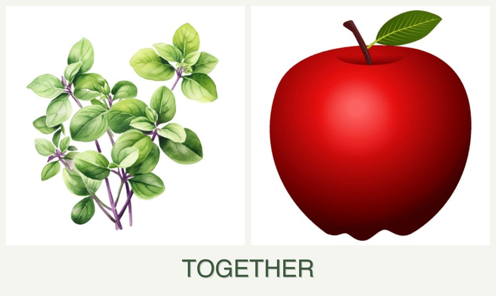 Can you plant oregano and apples together?