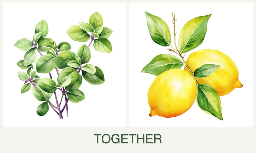 Can you plant oregano and lemons together?