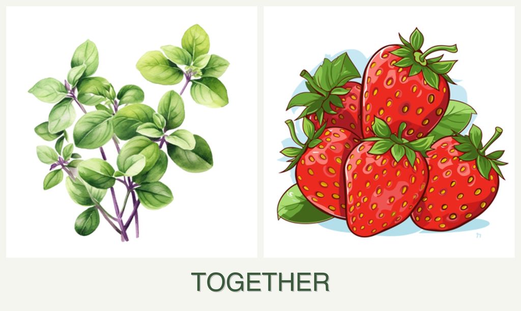 Can you plant oregano and strawberries together?