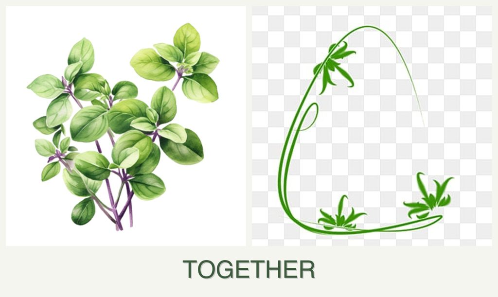 Can you plant oregano and tarragon together?