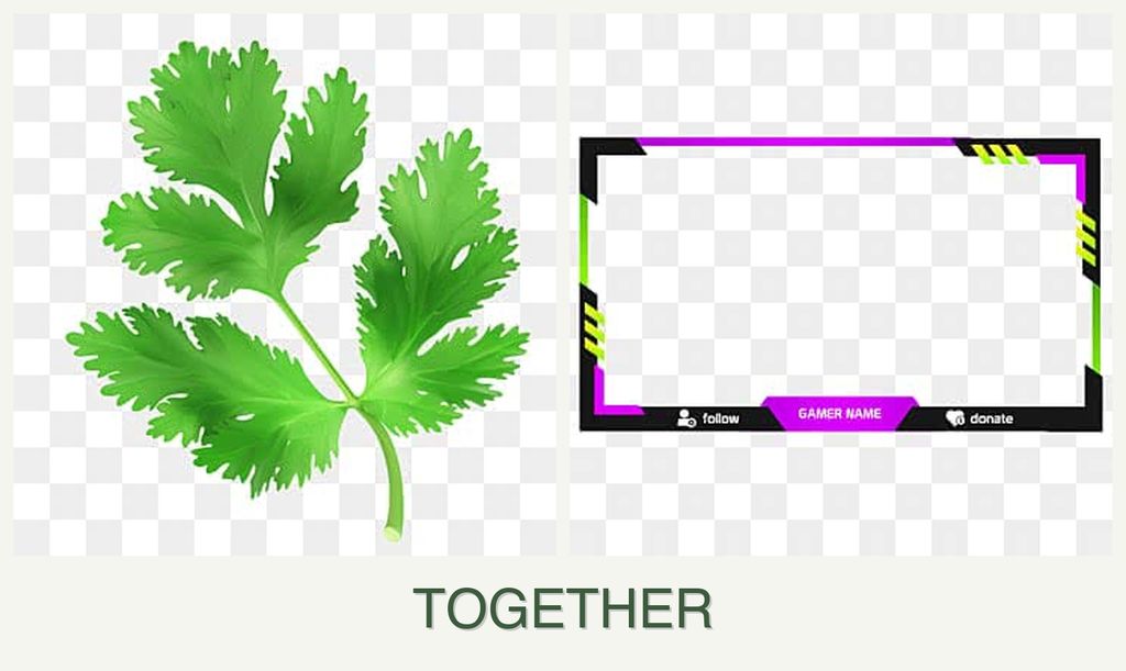 Can you plant parsley and limes together?