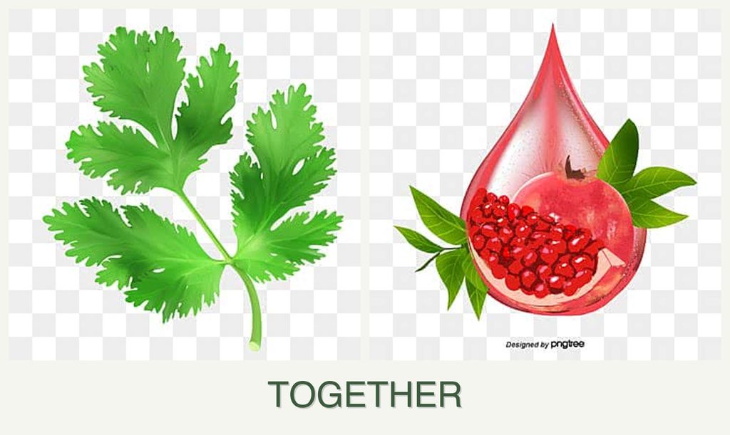 Can you plant parsley and pomegranates together?