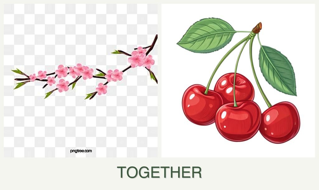 Can you plant peaches and cherries together?