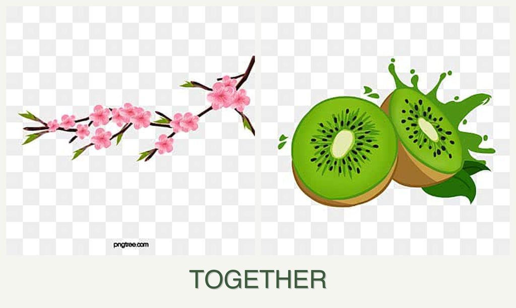 Can you plant peaches and kiwi together?