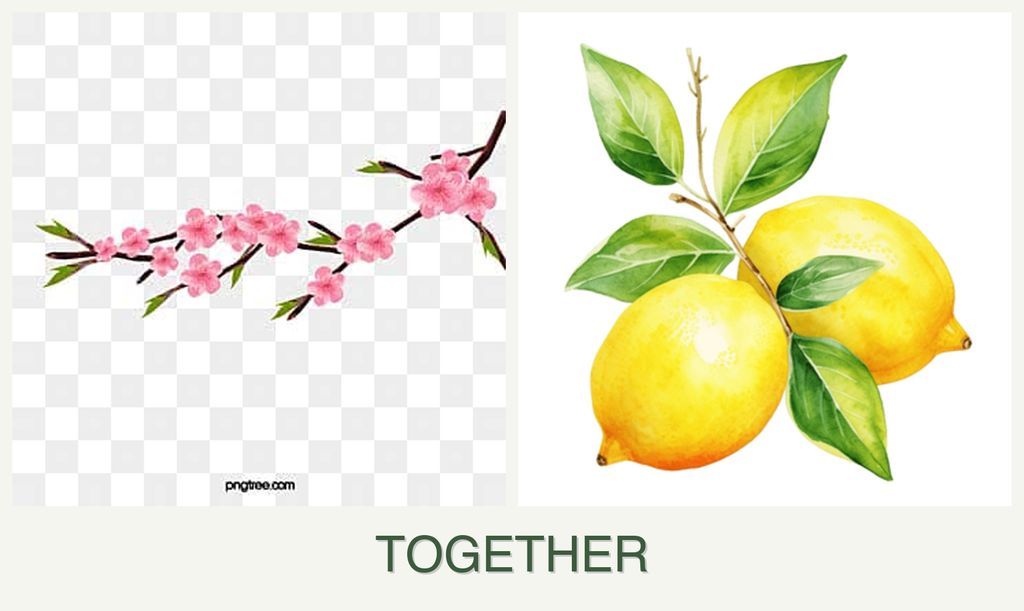 Can you plant peaches and lemons together?
