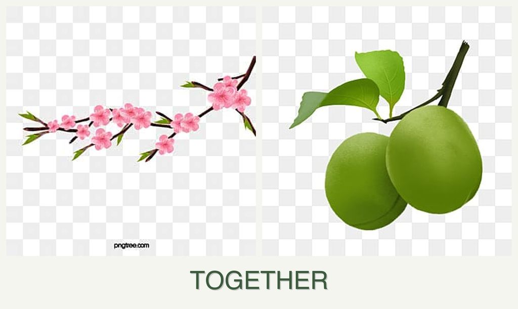 Can you plant peaches and plums together?