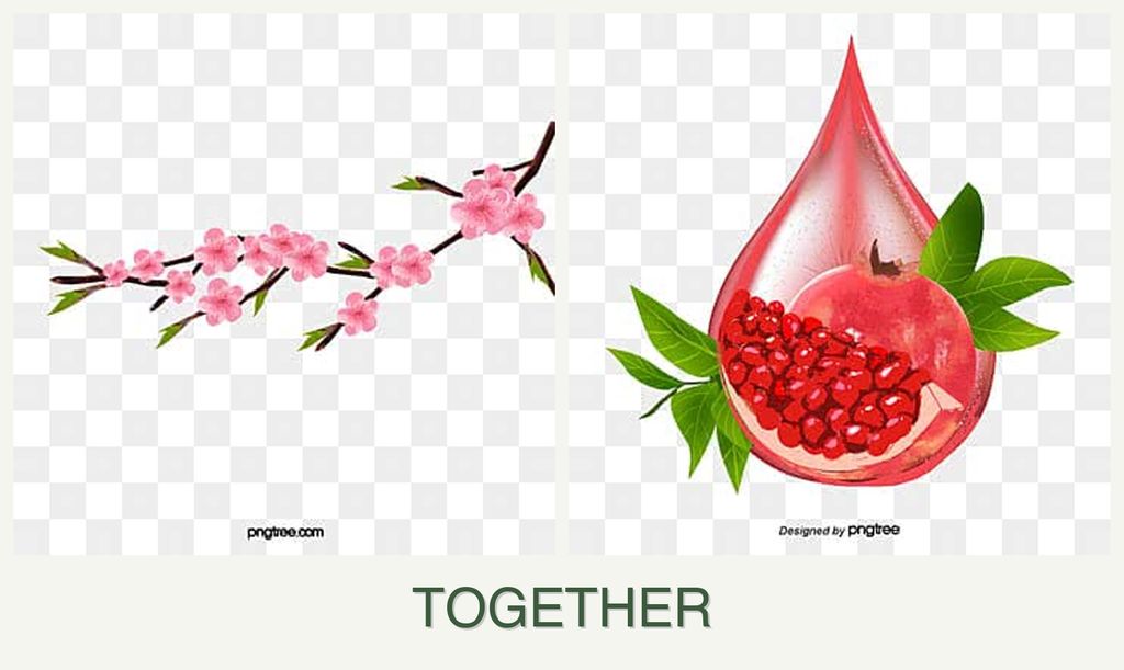 Can you plant peaches and pomegranates together?