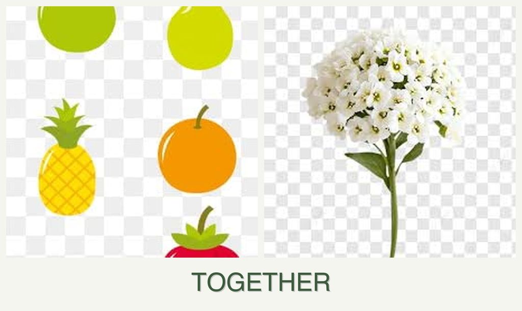 Can you plant pears and alyssum together?