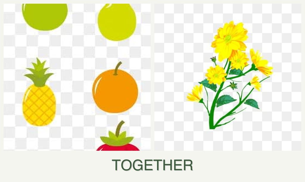 Can you plant pears and calendula together?
