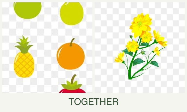 Can you plant pears and calendula together?