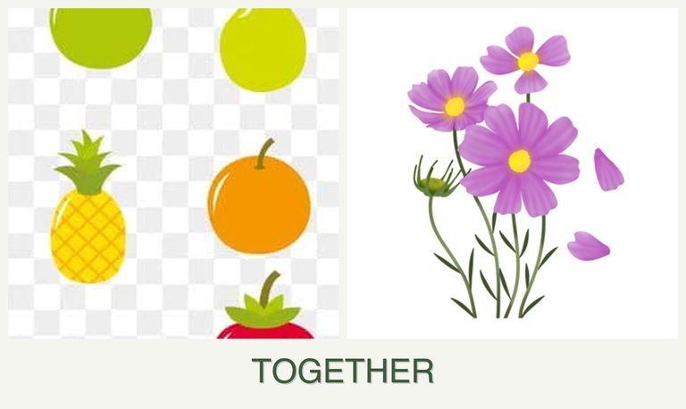 Can you plant pears and cosmos together?