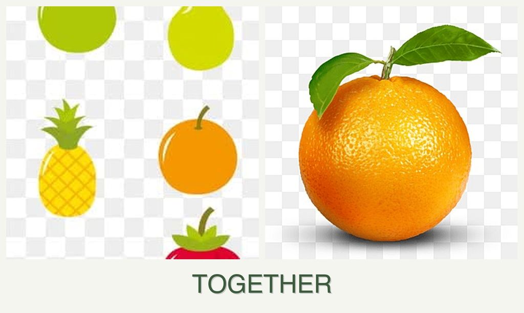 Can you plant pears and oranges together?