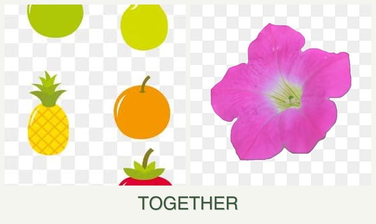 Can you plant pears and petunias together?