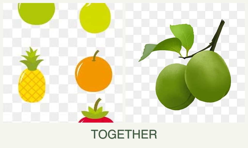 Can you plant pears and plums together?