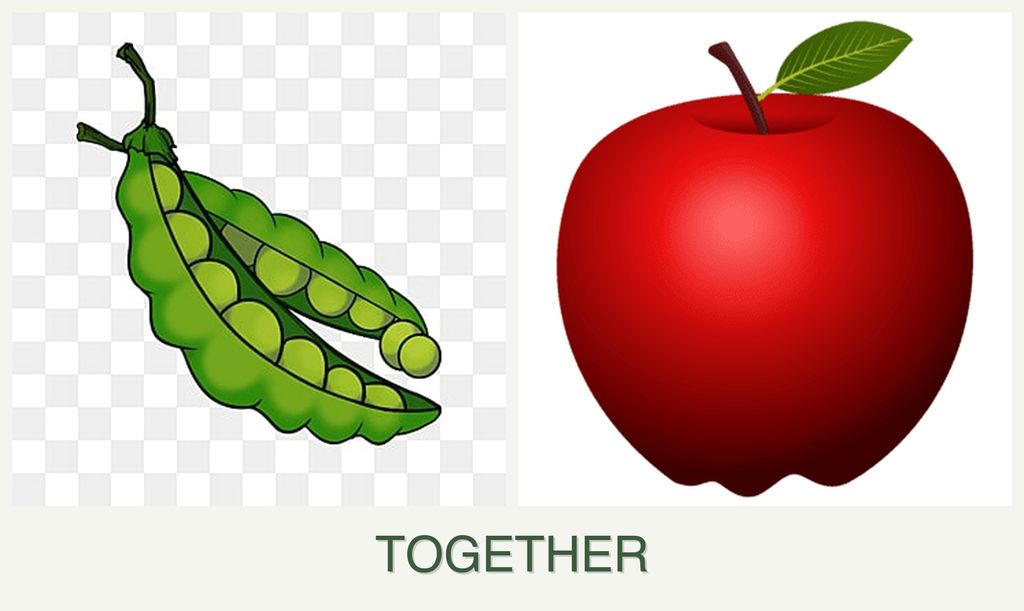 Can you plant peas and apples together?