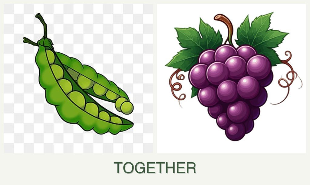 Can you plant peas and grapes together?