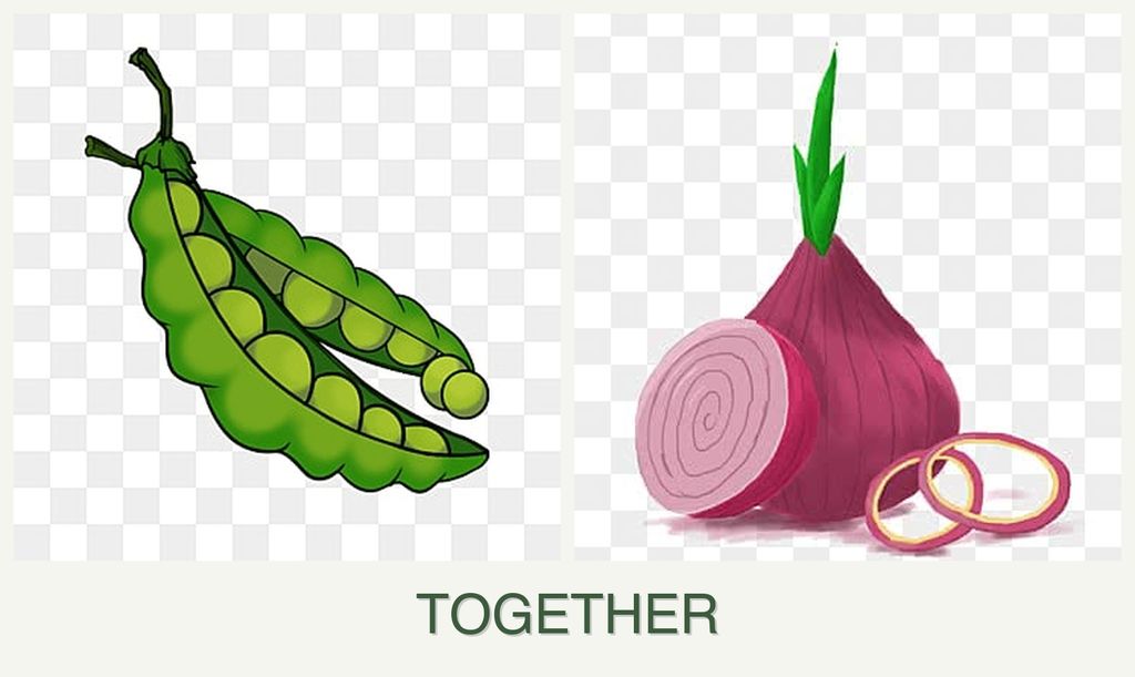 Can you plant peas and onions together?