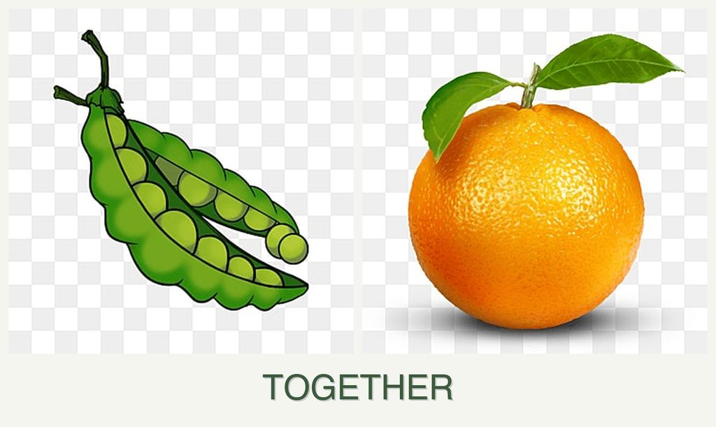 Can you plant peas and oranges together?