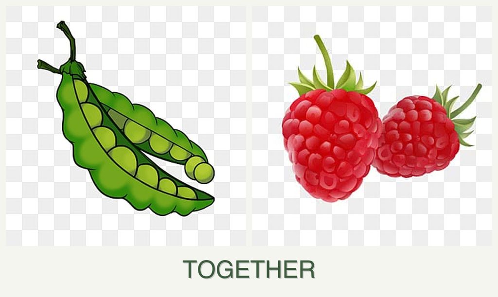 Can you plant peas and raspberries together?