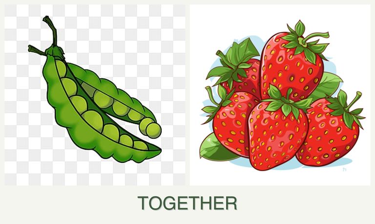 Can you plant peas and strawberries together?