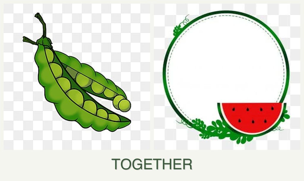 Can you plant peas and watermelons together?