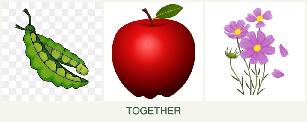 Can you plant peas, apples and cosmos together?