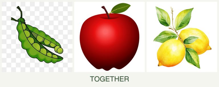 Can you plant peas, apples and lemons together?