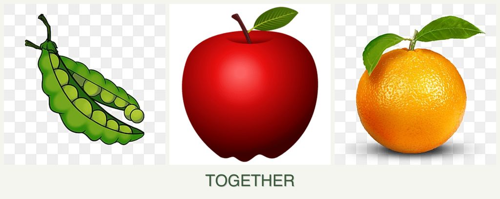 Can you plant peas, apples and oranges together?