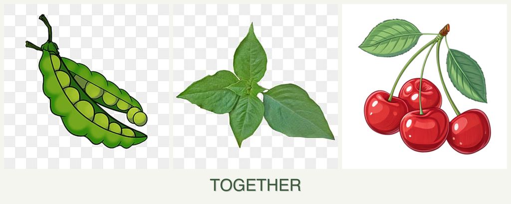 Can you plant peas, basil and cherries together?