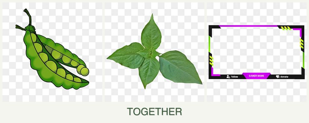 Can you plant peas, basil and limes together?