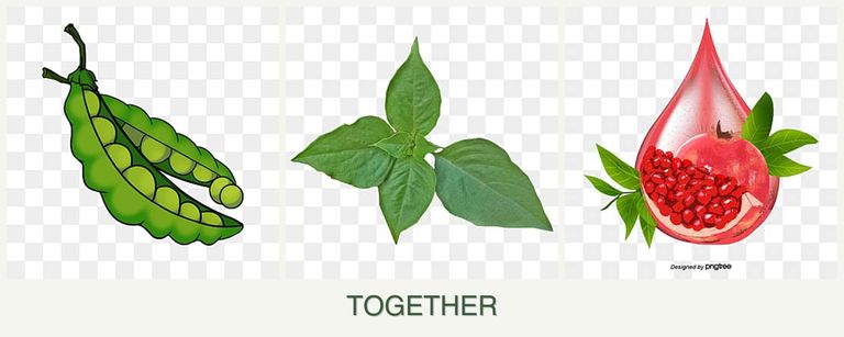 Can you plant peas, basil and pomegranates together?