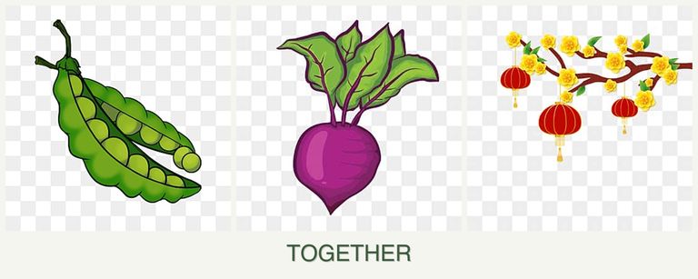 Can you plant peas, beets and apricots together?
