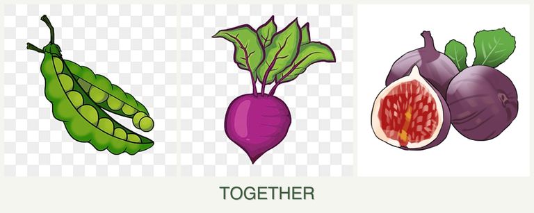 Can you plant peas, beets and figs together?